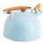 HAKIDZEL Stainless Steel Kettle Whistle Kettle Boiling Teapot Water Boiler Pot Loud Whistling Kettle Whistling Tea Kettle for Stove Top Hot Water Kettle