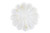Creative Co-Op DF2368 Carved Marble Flower Shape Dish, White