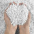 25QT Organic Perlite Horticultural Soil Amendment for Plants and Enhanced Drainage Enhanced Growth
