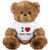 I Love Custom Text Teddy Bear: 10 Inch Teddy Bear Stuffed Animal