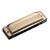 10-hole C Harmonica Diatonic Beginner Adult Students Practice Playing The Harmonica Instrument (Color : 01)