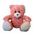 CuddleBuddys Recordable Teddy Bear Pink | Instantly Record The Voice of a Loved One | Pink Teddy Bear with Voice Recording