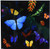 3dRose Rainforest Butterflies Ceramic Tile, 4-Inch