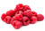 Joan J Thornless Raspberry Bare Root Plants, The Earliest Everbearing Primocane, 5 Pack