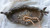 Cast Iron Double Bird Soap Dish ~ Rustic Brown ~ Bird Feeder
