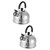 VOSAREA 2 Pcs Stainless Steel Kettle 3l Beep Whistle