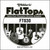 D'Addario FT030 Semi-Flat Phosphor Bronze Acoustic Guitar Single String, 030