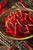 Thai Pepper Seeds 25 Count, COOL BEANS N SPROUTS" Brand. Home Gardening.