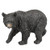 Black Bear Walking 9.5 x 5 x 6.5 Inch Resin Crafted Tabletop Figurine