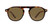 Peepers by PeeperSpecs Women's Neptune Sun Round Polarized Sunglasses-No Correction, Tortoise/Black, 50 mm + 0