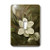 3dRose LLC lsp_18938_1 Magnolia Grandflora - Single Toggle Switch