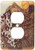 3dRose lsp_40860_6 Two Plug Outlet Cover with Pillows and Throw