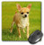 3dRose LLC 8 x 8 x 0.25 Inches Mouse Pad, Chihuahua (mp_414_1)
