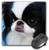 3dRose LLC 8 x 8 x 0.25 Inches Mouse Pad, Japanese Chin (mp_4242_1)