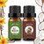 yethious Vanilla Coconut Essential Oil Set Coconut Oil Vanilla Essential Oils for Soap Making, Diffuser, Skin Hair Care - 2 x 10ml