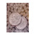 Harris Roosevelt Dime 1965- Current Coin Folder 2685