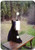 3dRose lsp_100971_1 Black Bear Ready for Lunch Single Toggle Switch