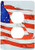 3dRose lsp_56256_6 America Painted Flag Patriotic Art Usa 2 Plug Outlet Cover