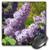 3dRose LLC 8 x 8 x 0.25 Inches Mouse Pad, Lovely Lilacs in Bright Sunshine (mp_17952_1)