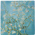 3dRose LLC 8 x 8 x 0.25 Inches Mouse Pad, Photo of Van Gogh Famous Painting Branches of an Almond Tree (mp_119442_1)