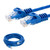 yanw 10ft Cat6 Patch Cord Cable Ethernet Internet Network LAN RJ45 UTP Blue