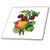 3dRose ct_170413_1 Vintage Apples on a Branch with Red Cherries-Ceramic Tile, 4-Inch