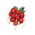 Burpee Cherry Belle Radish Seeds 1000 seeds