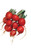 Burpee Cherry Belle Radish Seeds 1000 seeds