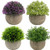 Ogrmar 4PCS Mini Plastic Artificial Plants Grass in Pot/Small Artificial Faux Greenery/Mini Plants Topiary Shrubs Fake Plants for Bathroom, House Decorations