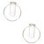 iplusmile 2pcs Wall Hanging Test Tube Vase Hanging Terrariums Plant Propagation Station Wall Planter Hanging Plants Tabletop Flower Vase Metal Frame Test Tube Houseplant Indoor Glass