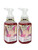Bath & Body Works Pink Pineapple Sunrise Gentle Foaming Hand Soap 8.75 Ounce 2-Pack (Pink Pineapple Sunrise)