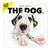 [ArtlistCollectionTHE DOG] Wall Calendar ?Dalmatian? 2024