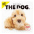 [ArtlistCollectionTHE DOG] Wall Calendar ?Poodle? 2024