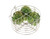 New Metro Design Multi-Purpose Cooking and Steamer Basket, Silver