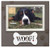 Malden International Designs Distressed Brown Silkscreened "Woof" on Bone Attachment Picture Frame, 4x6, Brown