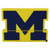 Michigan M Shape USB 3.0 True Flash 32GB