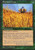 Magic: the Gathering - Elephant Grass - Visions