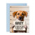 CENTRAL 23 Funny Dog Cards - Dog Lineup - Cute Dog Birthday Cards For Men And Women - Fur Baby Cards For Pet Mom And Dad - Gifts For Dog Owners - Comes With Fun Stickers