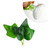 BESPORTBLE 2pcs Fish Tank Decoration Betta Leaf Plant Betta Leaf Pad Fish Leaf Hammock Fake Plant Decor Artificial Plants Fish Tank Plants Artificial Water Plants Betta Fish
