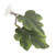 Yardwe Betta Resting Leaves Aquarium Pad Betta Hammock Bed Betta Fish Leaf Bed Betta Fish Toys Betta Bed Leaf