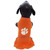 NCAA Clemson Tigers Cheerleader Dog Dress