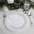Efavormart 10 Pack | 9" White/Silver Swirl Rim Plastic Dessert Appetizer Plates, Round Disposable Salad Plates