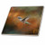 3dRose ct_79486_2 Hummingbird Old Master Fine Art Floral Iii-Ceramic Tile, 6-Inch