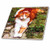 3dRose ct_574_2 Orange Cat Ceramic Tile, 6-Inch