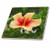 3dRose ct_1251_2 Red and Yellow Hibiscus Ceramic Tile, 6-Inch