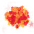 ABOOFAN 400pcs Plant Multicolor Leaves Autumn Fall Leaf Maple Leaf Yiwu Artificial