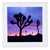 3dRose USA, California, Joshua Tree National Park at Sunrise. - Quilt Square, 12 by 12-inch (qs_206726_4)
