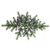 Vickerman 6' Unlit Douglas Fir Swag
