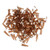 KICHOUSE 500pcs Brown Centrifuge Tube Plastic Test Tubes Centrifuge Tubes Plastic Centrifuge Vials Micro Centrifuge Bottle Plastic Sample Tubes Conical Tube Pp
