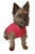 Ruff Ruff and Meow Dog Tank Top, Plain, Red, Extra-Small